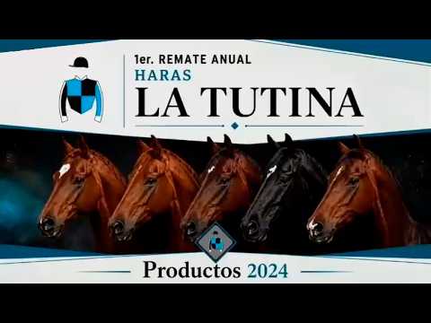 🔴 EN VIVO | 1er Remate Anual "Producto 2024" - Haras La Tutina