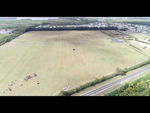 Lance Schreiber video