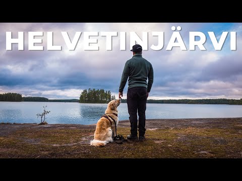 Telttaretki koiran kanssa Helvetinjärven kansallispuistoon 🏕️🐕