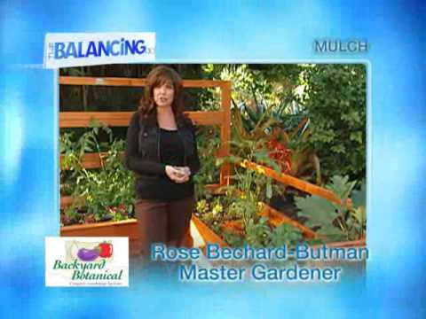 The Balancing Act Show 1162 - Backyard Botanical