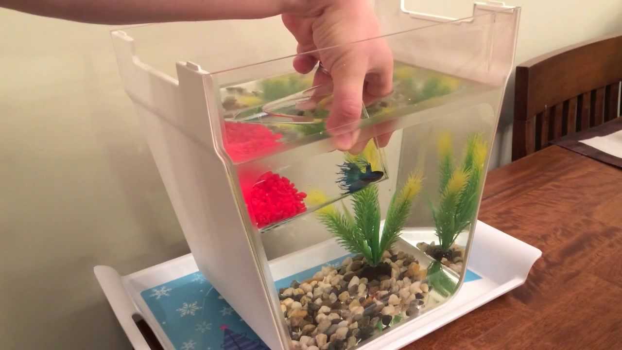 Акваферма Aquafarm Back to the roots Набор для выращивания растений и ухода за рыбкой