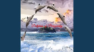 Dolphins of Beryozovsky Music Video