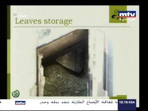 Youssef Fares @ Mtv - Alive eco