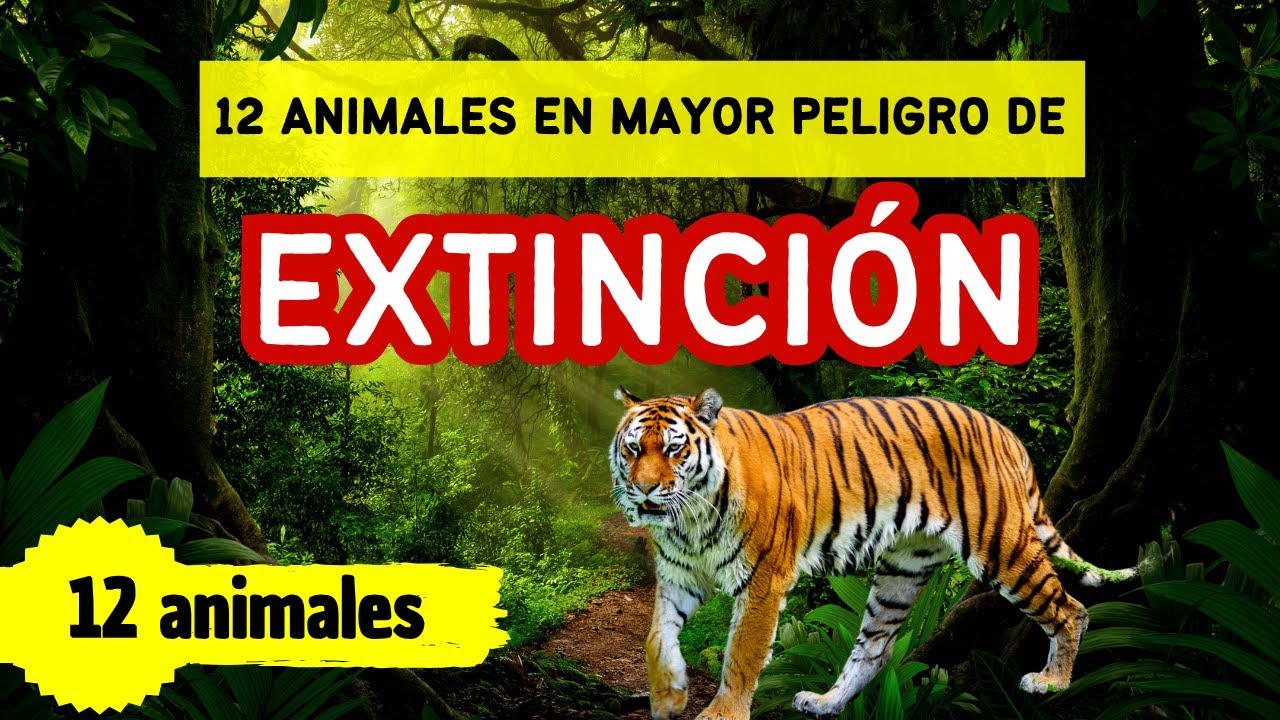 ⚠️ Los 12 Animales en Mayor Peligro de Extinción