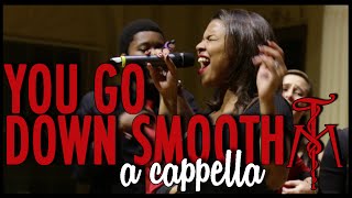 "You Go Down Smooth" (Lake Street Dive) - Twisted Measure A Cappella