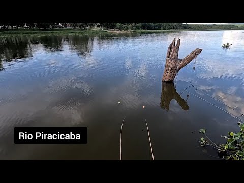 Pescaria no Rio Piracicaba em Santa Maria da Serra era só descer a isca viva um atrás do outro 