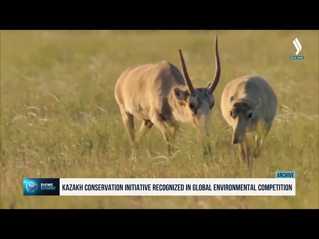 Казахстанская природоохранная инициатива объявлена финалистом глобального экологического конкурса
