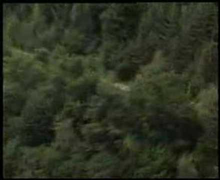 Red Bull Romaniacs 2006 Day 6