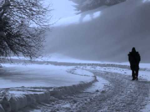 One flew over The Fax Machine  Introducing David