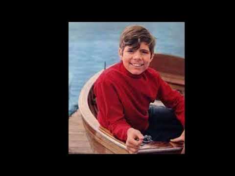 Heintje Biografie - Deutsche Schauspieler