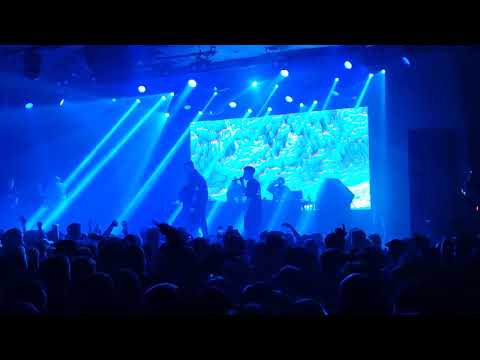 Space Hammu - I Promise en DIRECTO