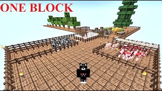 【マインクラフト ワンブロック】実況PART3 Icy Tundra!【Minecraft One Block】