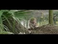 Monster Hunt 2