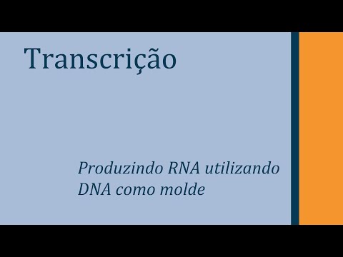 Transcrição