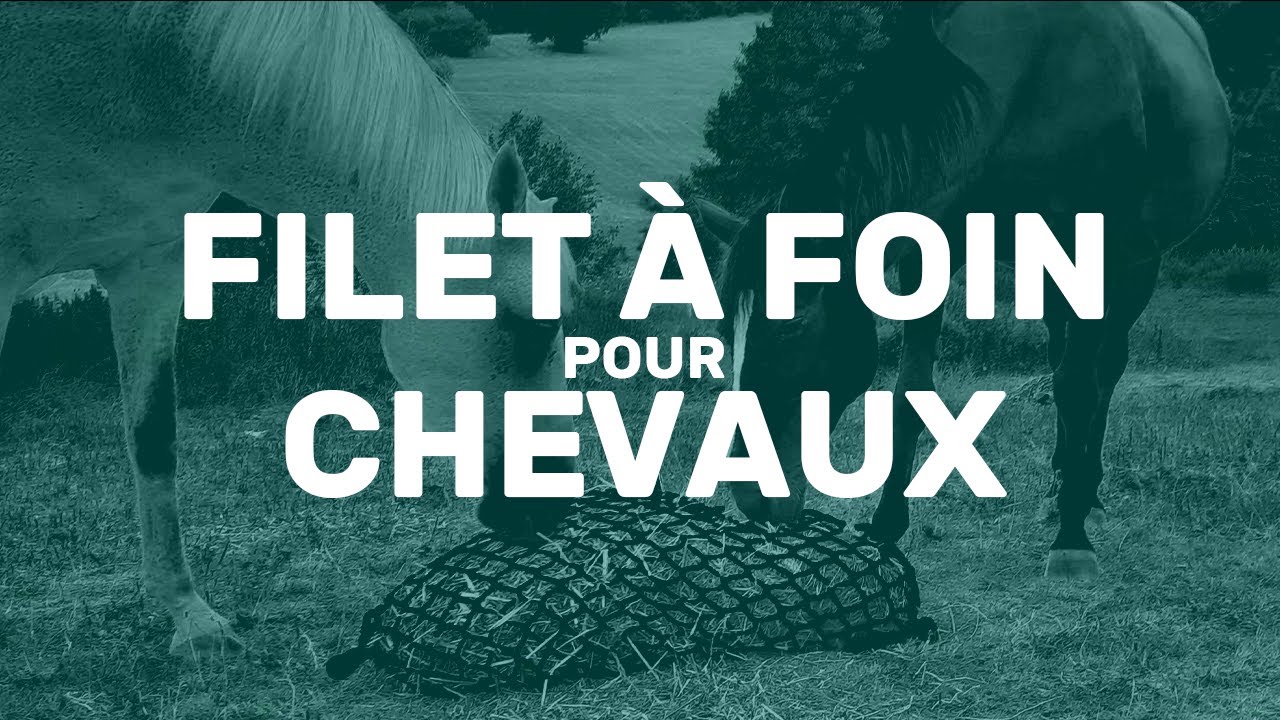 Filet à foin pour chevaux (slow feeding)