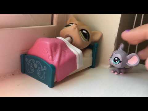 lps Cinderella Final