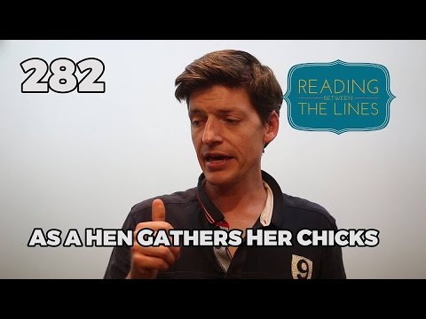 Reading Between the Lines 282 - As a Hen Gathers Her Chicks