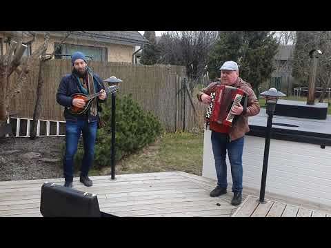 Sada ja Seened - Laev tõstis purjed