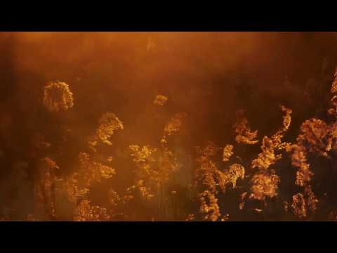 Fabrizio Paterlini - When Orange is the Sky (Official Video)