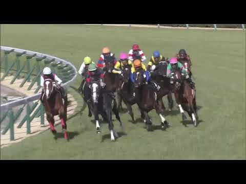 Velox (JPN) wins Wakaba Stakes race 11 at Hanshin 3/16/2019