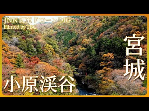 湯治場のある渓谷の紅葉【JNN 紅葉ドローンDIG】｜TBS NEWS DIG