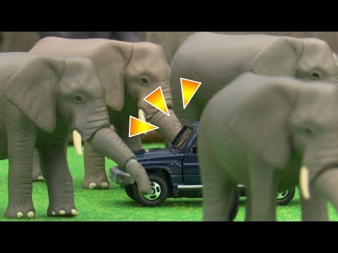 トミカであそぼう！ クイズ　かくれているトミカはどれ？編 【タカラトミーキッズ】 親子で楽しくあんしん | ファミリー | おはなし | 公式 | タカラトミー公式