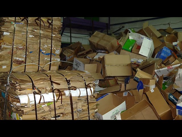 Как сортировать мусор и что такое эко-такси?