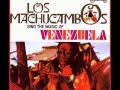 Los Machucambos - Amalia Rosa