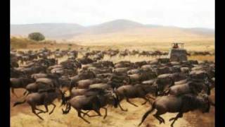 Effervescing Elephant - Syd Barret