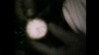 Withered Hand - California (unofficial video)