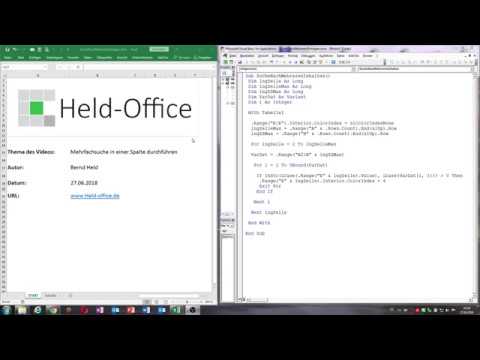 0025. Excel VBA: Eine Mehrfachsuche in einer Spalte / Instr-Funktion