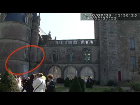 Flying Rods Phenomenon Flying Rod UFO Skyfish Filmed In France | Dr. Donald Ryles Paranormal ...