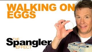 The Spangler Effect - Walking on Eggs Season 01 Episode 43