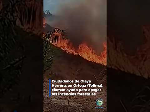Ciudadanos de Olaya Herrera, en Ortega (#Tolima), claman ayuda para apagar los incendios forestales