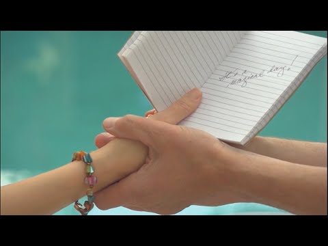 Fateful Findings (2013)