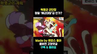수갑도 풀지 못하는 사보와 혁명군 군단장 진짜로 '해군대장'급일까?