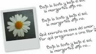 La margarita dijo no - Alejandro Sanz