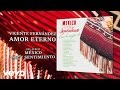 Vicente Fernández - Amor Eterno (Cover Audio)