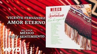 Vicente Fernández - Amor Eterno (Cover Audio)