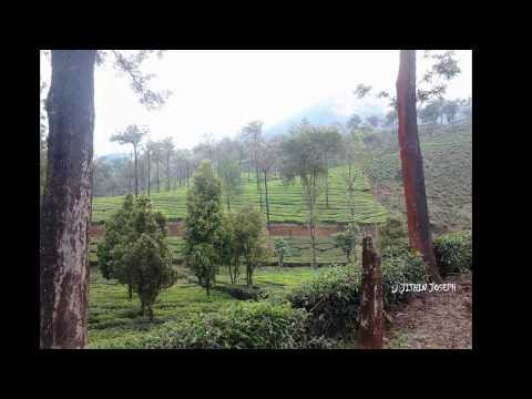 jithin panickarodam Photography kottayam