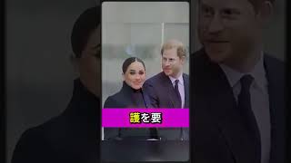 Download lagu Prince Harry's Final Royal Negotiation? The Shocking 'Red File' Princess Anne Used to Shut Down H... mp3