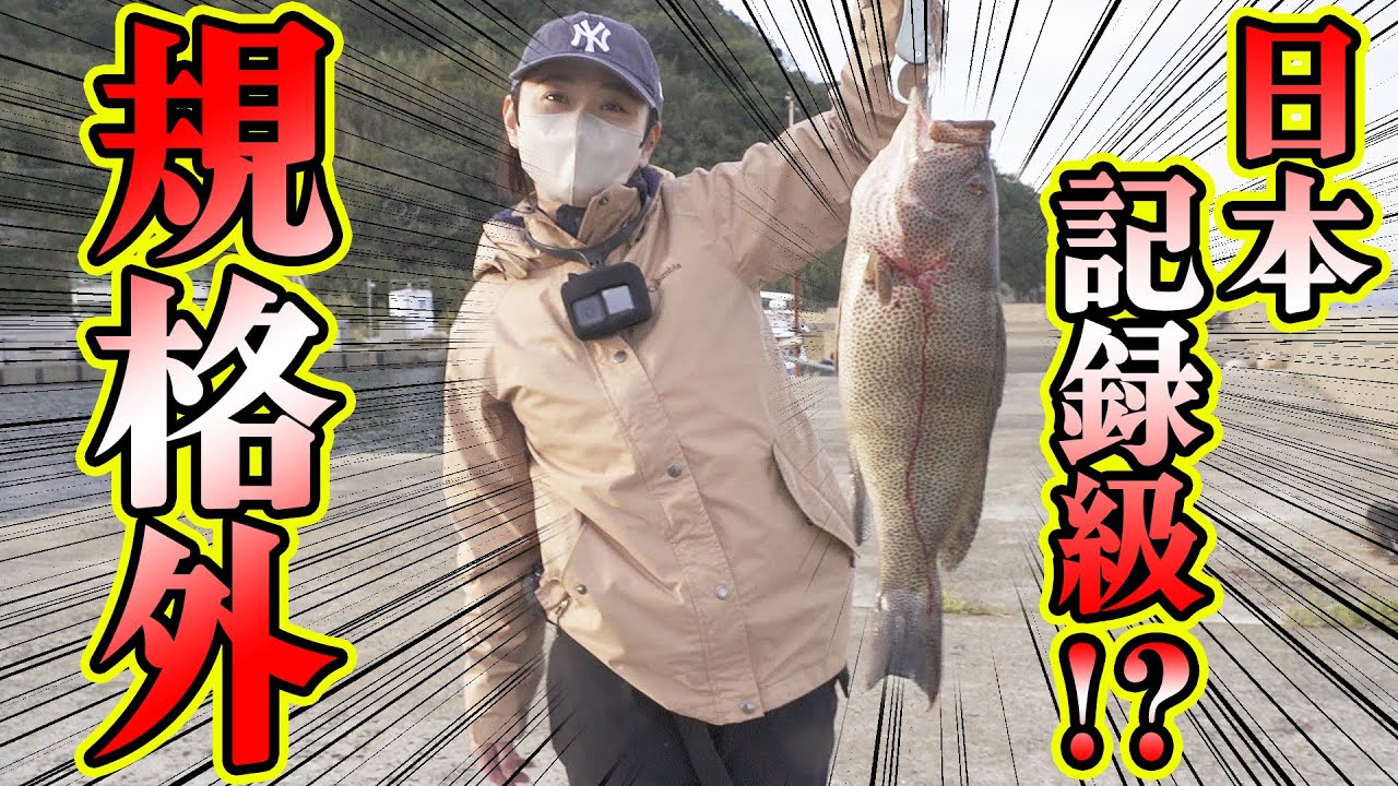 【釣×食】かぶせ釣り、開始早々！？ついに目標の〇鯛が！？