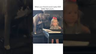 Download lagu Funny Dog Desperately Wants Apple From Little Girl! mp3