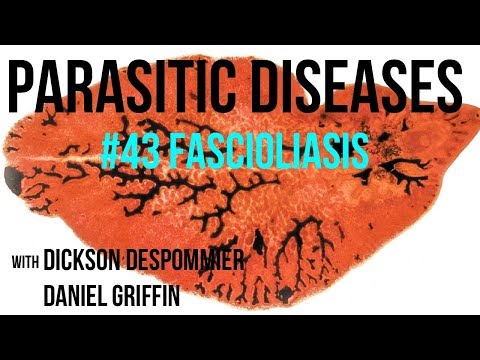 Parasites Without Borders, Parasitic Diseases Lectures #43: Fascioliasis