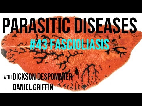 A paraziták tisztítása az emberi testben