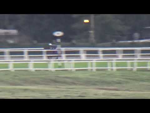 OLYMPIC HARVARD(Brz)-REVISTA INVASOR