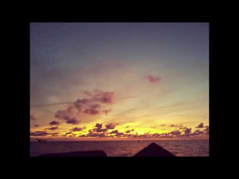 YBDY X KAMUZA - TUMAN