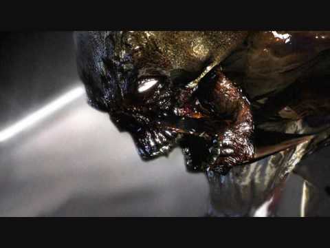 TRN18 - SHOW YOU SOMETHIN.wmv