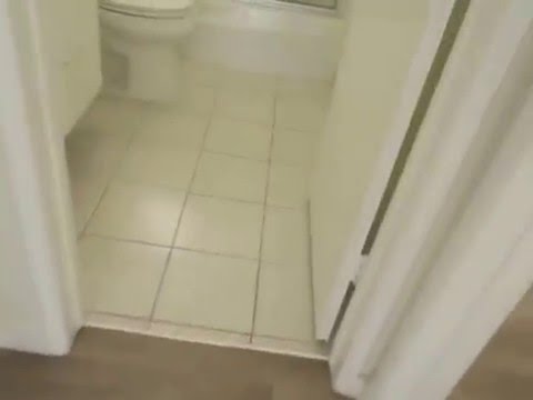 PL5756 - BRAND NEW 1 Bed + 1 Bath Apartment for Rent! (Westwood, CA)