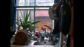 The Heavy Blinkers London Adventure. Old Footage.